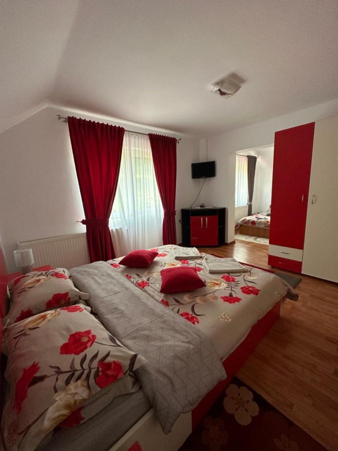 Вилла Casa Ika&Matei Борша Экстерьер фото